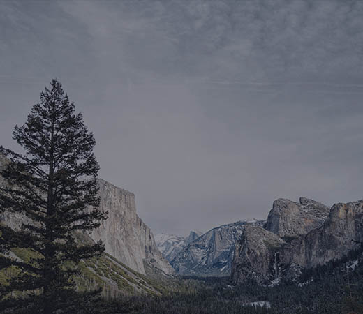banner-item-01