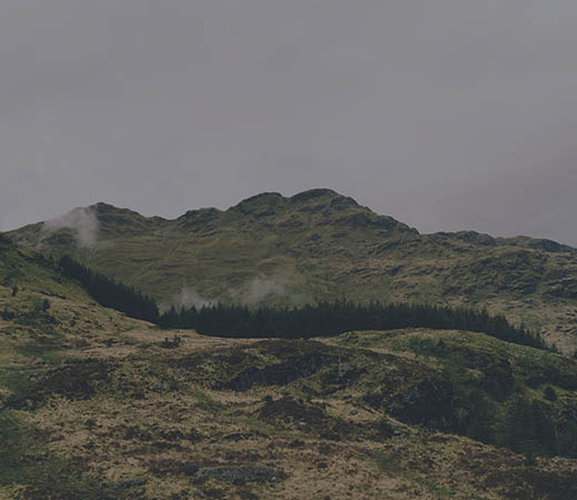banner-item-06